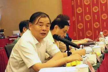 在中国智慧城市发展与评估指标体系建设专家研讨会上，北京大学教授、工信部原副部长杨学山以《新型智慧城市建设与发展思考》为题发言