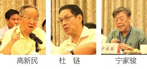 在中国智慧城市发展与评估指标体系建设专家研讨会上，中国互联网协会副理事长高新民、中国信息协会副会长杜链、国家信息中心电子政务专家委员会主任宁家骏发言